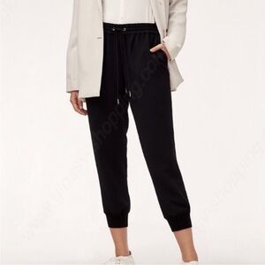 Aritzia Wilfred size Large Joggers